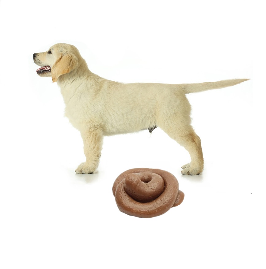 Funny Prank Poop Squishy Toy - - đánh giá và giá Fake Poop Gag Gift